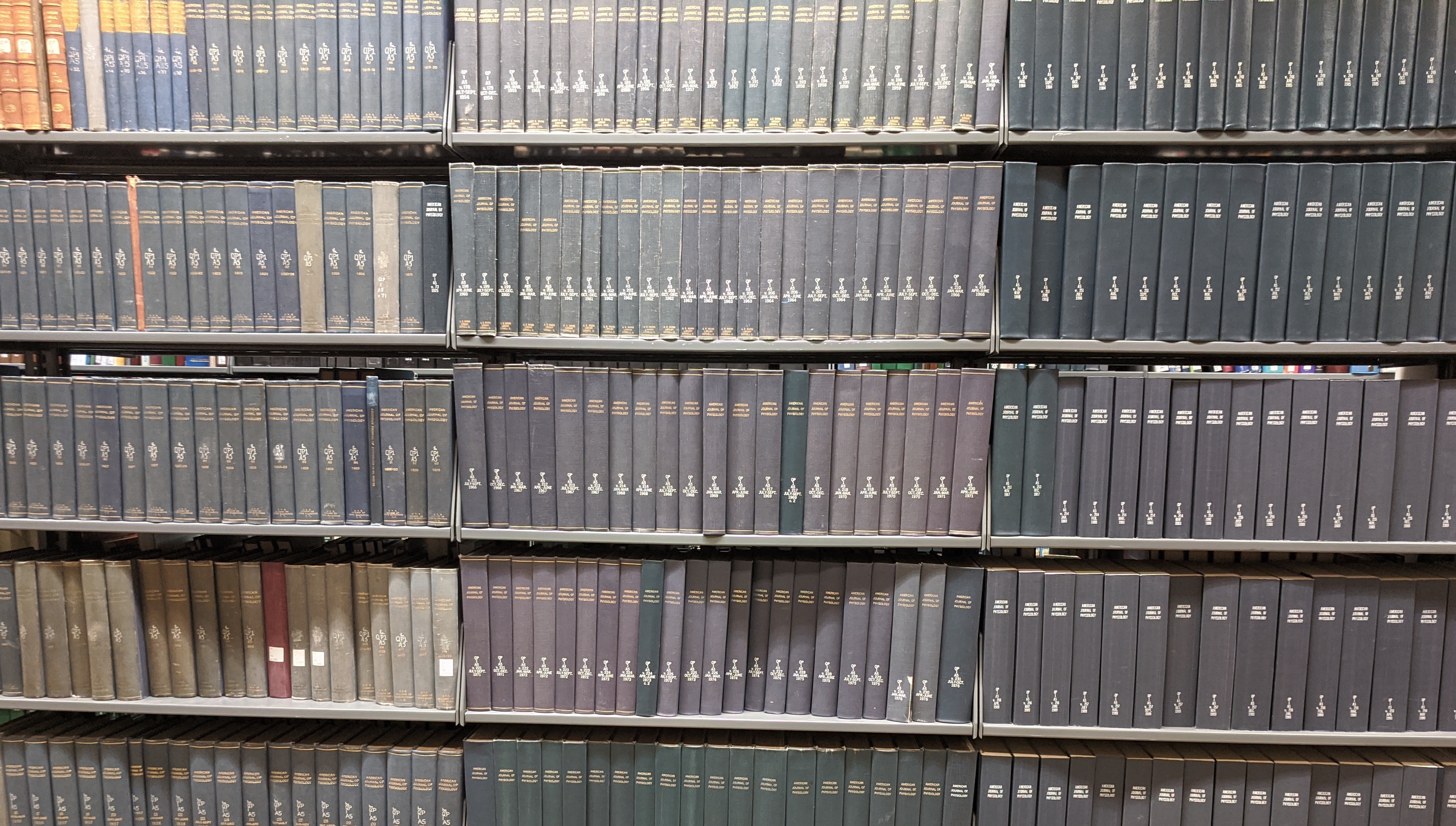 A photograph of many books on a shelf that are similar in color