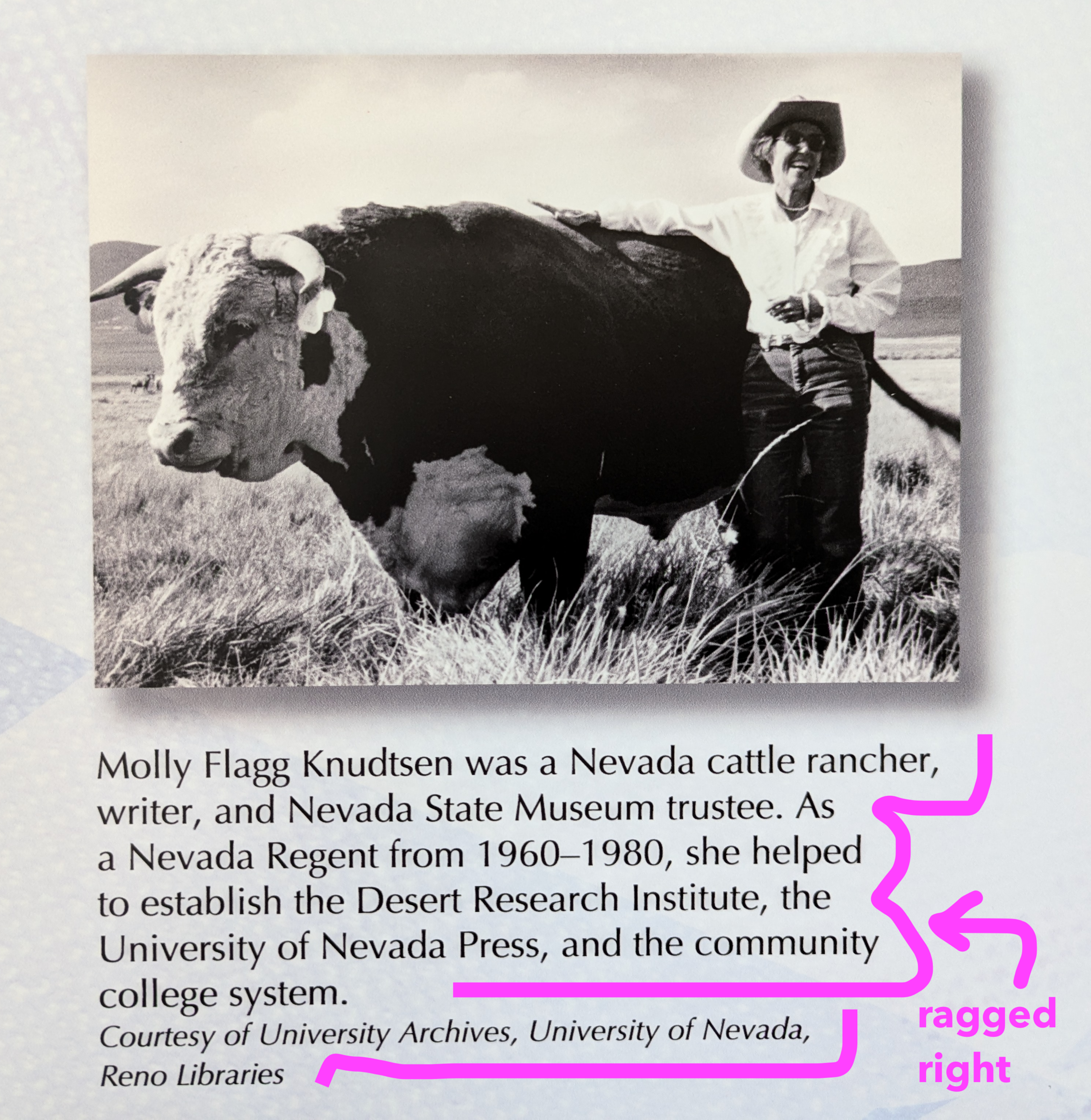 Text in which the "ragged right" has been highlighted. Below a photo of a woman with a bull, the text reads: Molly Flagg Knudsen was a Nevada cattle rancher, writer, and Nevada State Museum trustee. As a Nevada Regent from 1960-1980, she helped to establish the Desert Research Institute, the University of Nevada Press, and the community college system. Courtesy of University Archives, University of Nevada, Reno Libraries